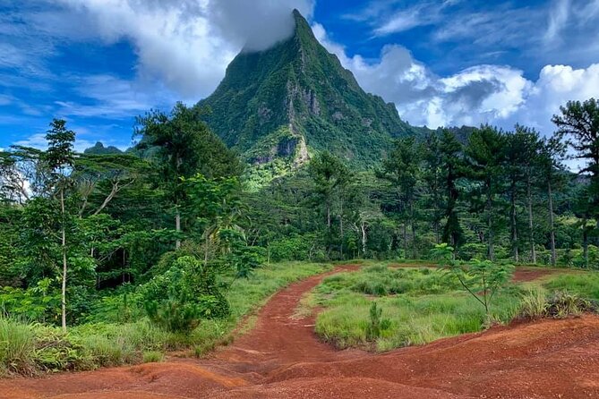 Half-Day Tour of Moorea Island in a Small Group - Getting there and getting around: pickup, mobile tickets, and the ride comfort reality