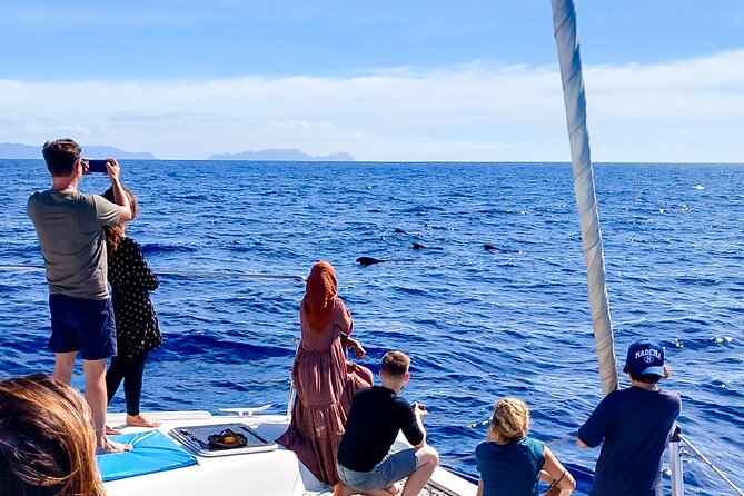 Half Day Tour on a Luxury Catamaran on Madeira Island - Luxury comfort that earns its keep: restroom, WiFi, shade, and the bar