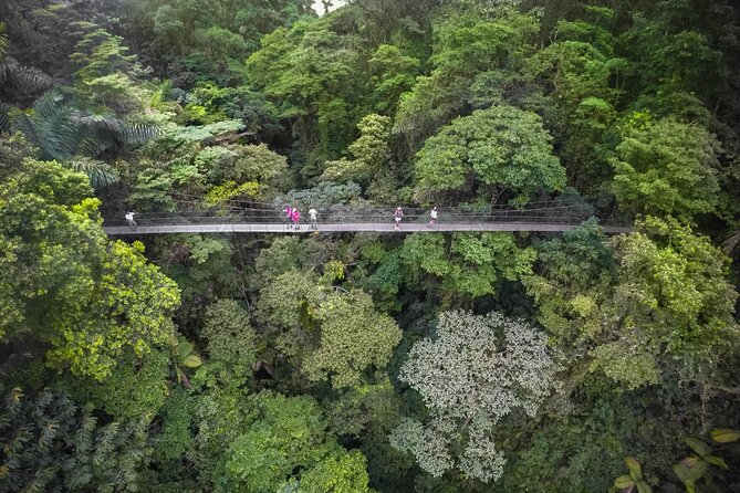 Half-Day Tour with Hanging Bridges and La Fortuna Waterfall - Who this tour is best for (and who should tweak the plan)