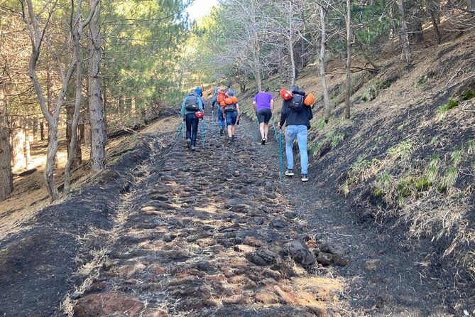 Half day Trekking Tour on Etna - Oro d’Etna Tasting: The Sweet Finish (Included)