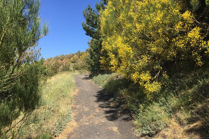 Half day Trekking Tour on Etna - How Much Is It Really Worth? Price vs What You Get