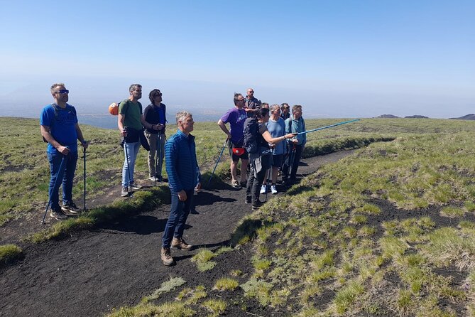 Half day Trekking Tour on Etna - From Forest Underfoot to Lunar Ground: The Main Etna Trek