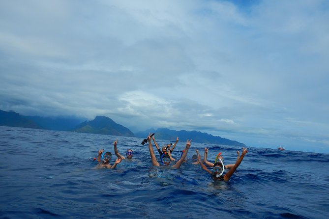Half day whale tour 4h00 - Snacks, gear, and the small comforts that matter