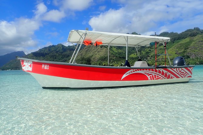 Half day whale tour 4h00 - Price and value: why it costs about $191.91