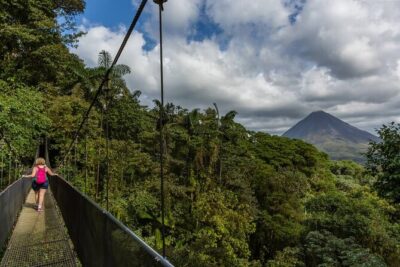 Hanging Bridges & Arenal Volcano with Lunch and Hotsprings - The rainforest hike: how the bridges become a wildlife hunt