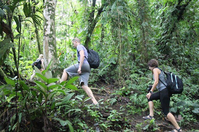 Hanging Bridges & Arenal Volcano with Lunch and Hotsprings - What to pack and how to set yourself up for a smoother day
