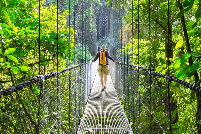 Hanging Bridges of Arenal – Guided Nature Walk with Nature - The 2-mile primary jungle trek: what you’re walking through