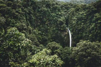 Hanging Bridges, Volcano Hike and La Fortuna Waterfall - Hanging Bridges in Arenal National Park: safer walking and wildlife spotting
