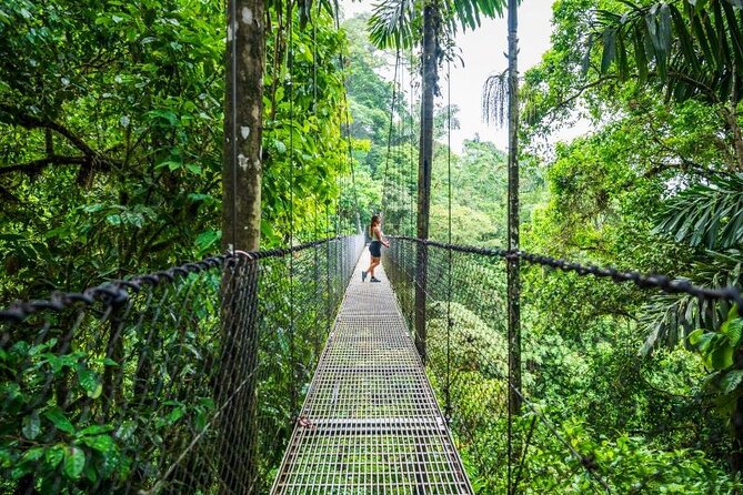 Hanging Bridges Walk in Arenal Volcano - Quick hits before your hanging bridges walk