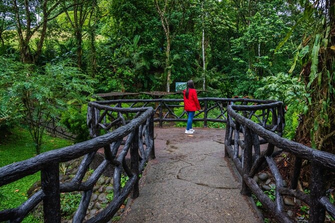 Hanging Bridges Walk in Arenal Volcano - Price and time: what you’re paying for, and how to judge value