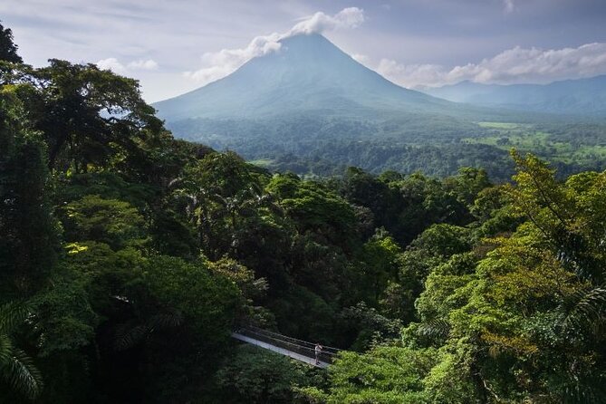 Hanging Bridges Walk in Arenal Volcano - The trail plan: bridges, distance, surfaces, and what your body will feel