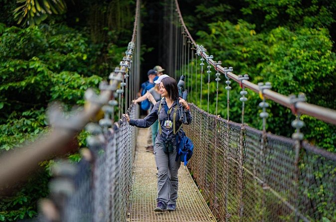 Hanging Bridges Walk in Arenal Volcano - Wildlife spotting: how the canopy walk boosts your odds