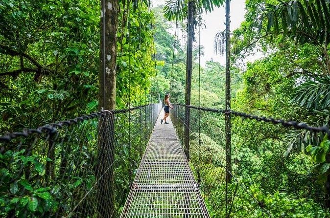 Hanging Bridges Walk in Arenal Volcano - Guided vs self-guided: when a guide is worth it