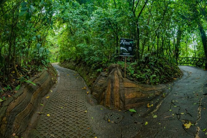 Hanging Bridges Walk in Arenal Volcano - Where you start: the real meeting point and how to arrive