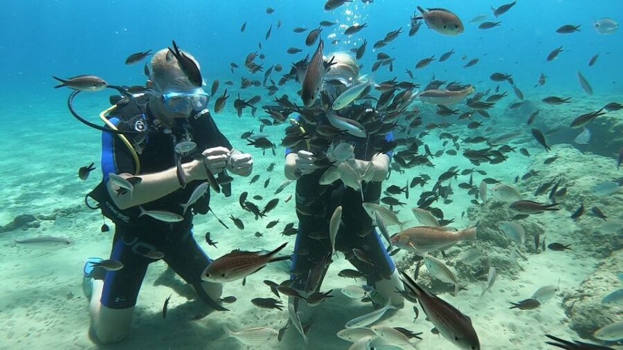 Heraklion: Beginner Scuba Diving Lesson with PADI Instructor - What to pack and how to prepare so you feel comfortable