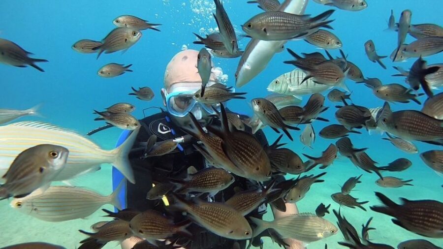 Heraklion: Beginner Scuba Diving Lesson with PADI Instructor - The pace and group size: how Cretandivers keeps it beginner-friendly