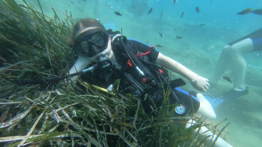 Heraklion: Beginner Scuba Diving Lesson with PADI Instructor - Break time and that Agia Pelagia free time window