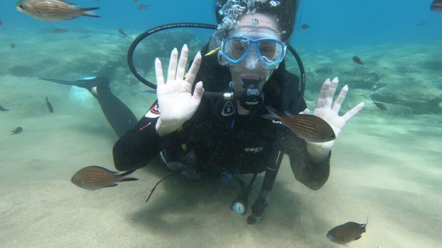 Heraklion: Beginner Scuba Diving Lesson with PADI Instructor - Price and value: what $88 really covers (and what it doesn’t)