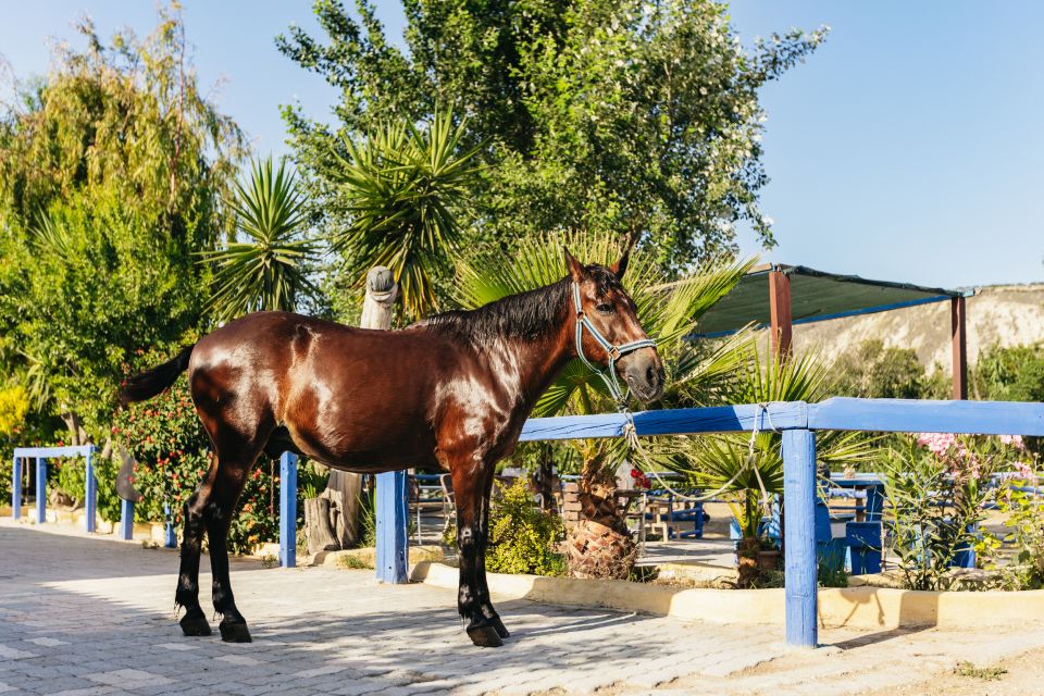 Heraklion: Finikia Horse Riding Tour with Lunch or Dinner - Who this tour suits best (and who should rethink it)