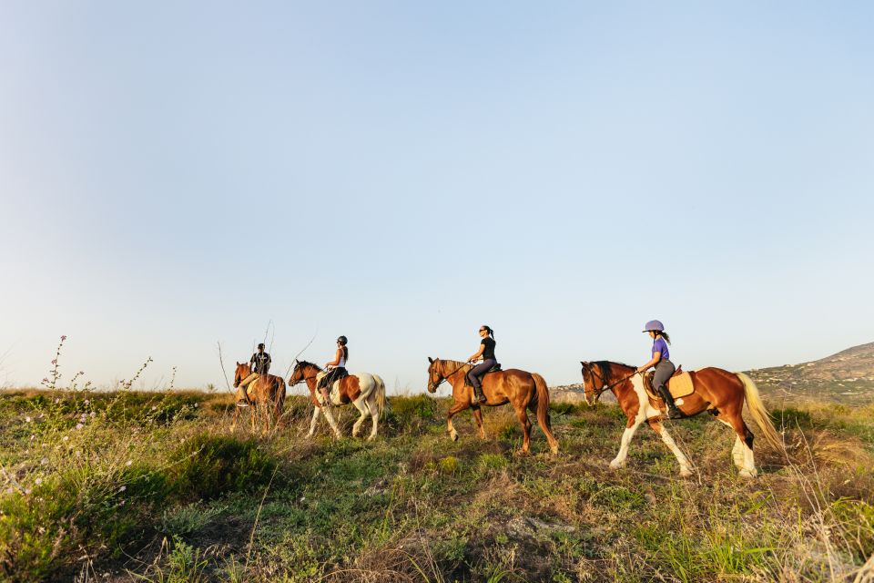 Heraklion: Finikia Horse Riding Tour with Lunch or Dinner - Price and value: what $94 buys you in Crete