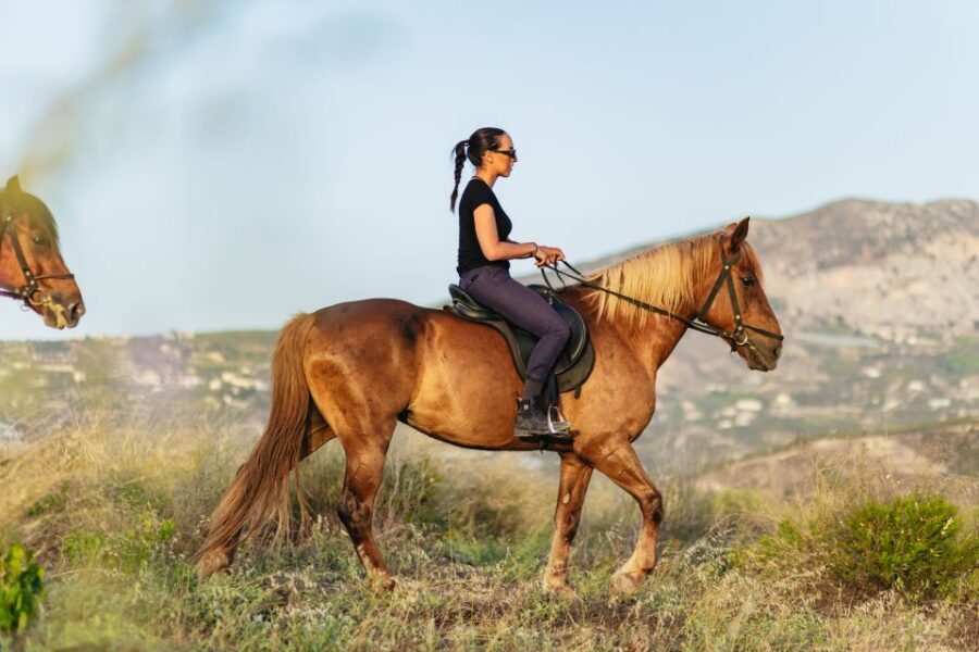 Heraklion: Horse Ride in the Cretan Mountains - Pace, groups, and what the timeline really feels like