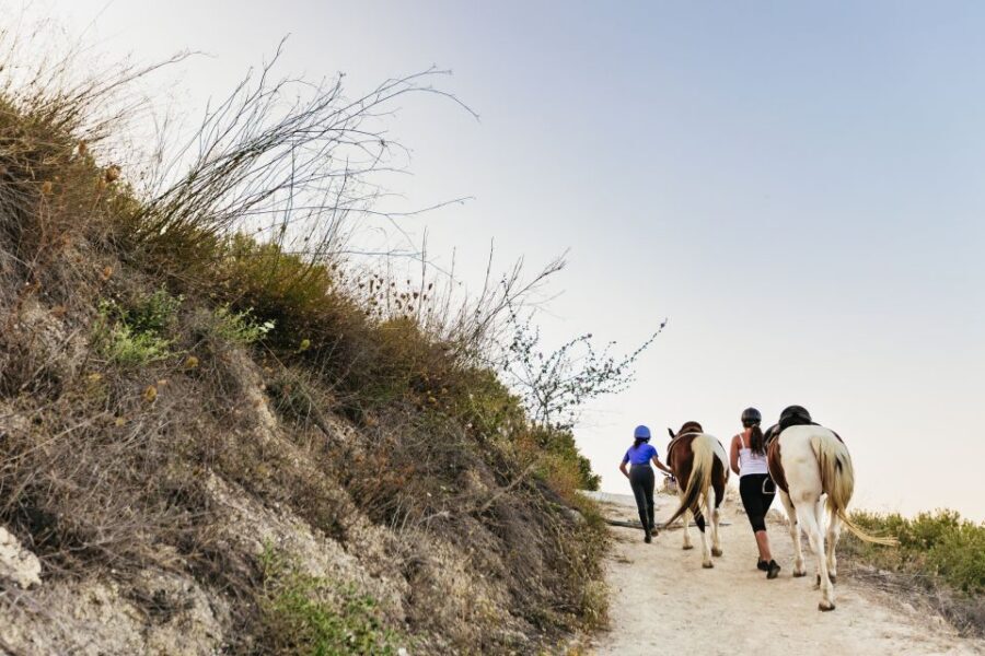 Heraklion: Horse Ride in the Cretan Mountains - Price and value: what $68 buys you in Crete