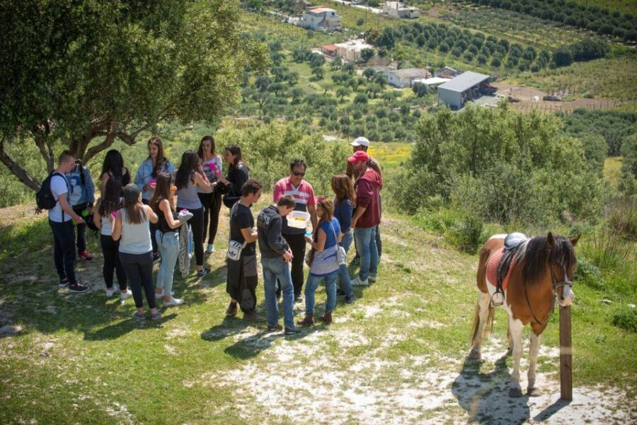 Heraklion: Horseriding Day Tour with Lunch and Transfer - Key reasons this tour works so well