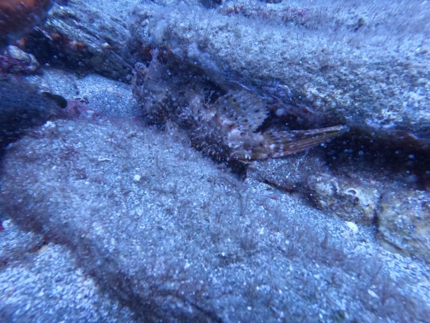 Heraklion: Scuba Diving Experience for Beginners _Beach - Key highlights worth knowing