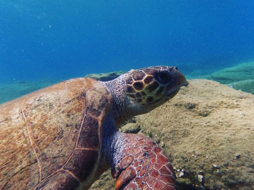 Heraklion: Scuba Diving Experience for Beginners _Beach - Sun Ray Moments, Rock Formations, and What Makes the Beach Entry Special