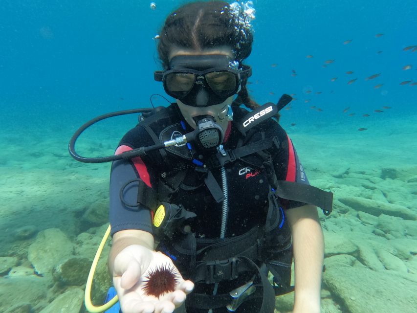 Heraklion: Scuba Diving Experience for Beginners _Beach - Price and Value: What $81 Gets You