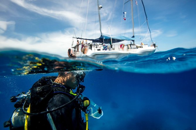 Heraklion: Scuba Diving Experience for First-Timers - Key things that make this experience work