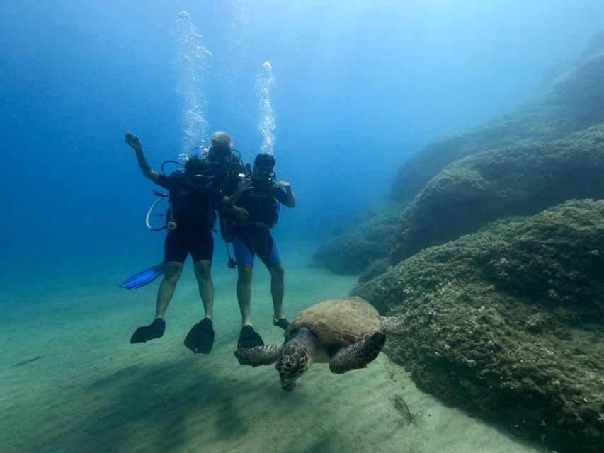 Heraklion: Scuba Diving Experience for First-Timers - Should you book this first-timer scuba session in Heraklion?