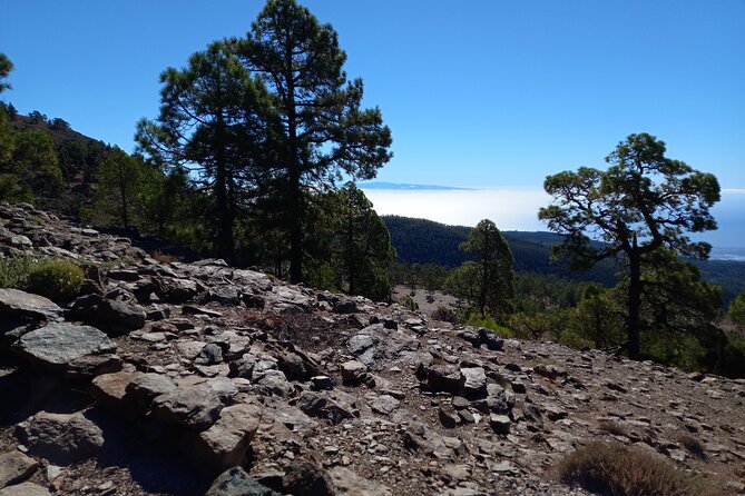 Hiking in Tenerife's Great Outdoors - A small-group Tenerife hike that feels human-sized