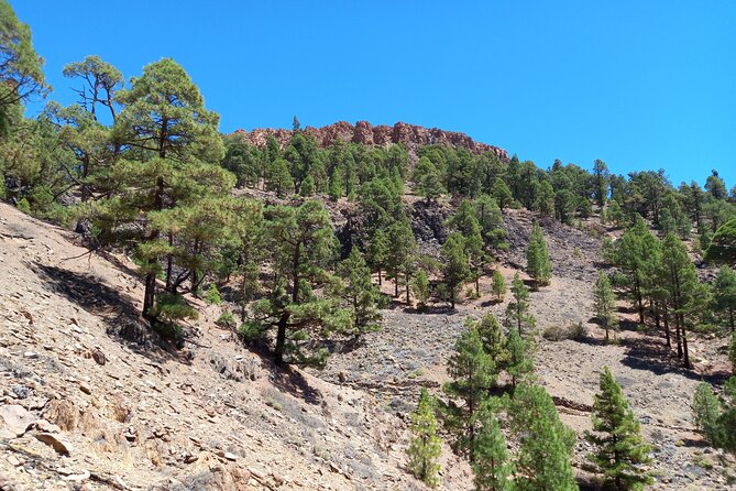 Hiking in Tenerife's Great Outdoors - Teide National Park: where the views pay you back