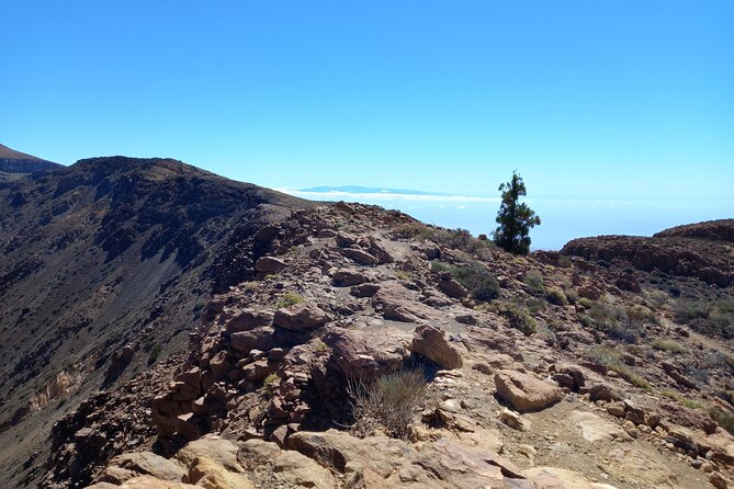 Hiking in Tenerife's Great Outdoors - Andy’s guide style: facts on the move, plus help with photos