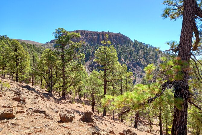 Hiking in Tenerife's Great Outdoors - The picnic break: plan your fuel since lunch isn’t included