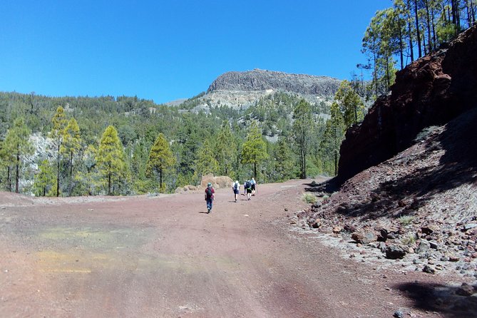 Hiking in Tenerife's Great Outdoors - What’s included vs not: transport, insurance, and the one thing you must bring