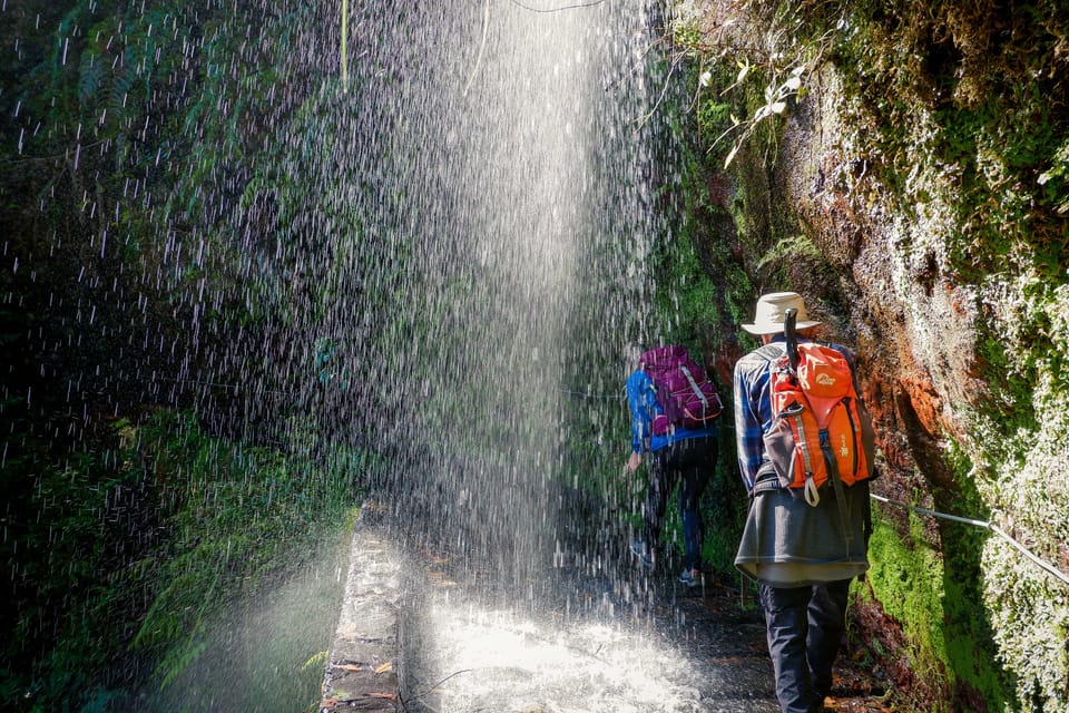 Hiking Madeira: Levada do Rei and the Majestic Laurissilva - Key Highlights Worth Clearing Your Schedule For