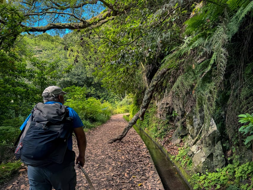 Hiking Madeira: Levada do Rei and the Majestic Laurissilva - Madeira’s Levada do Rei: A 7-Hour Day That Feels Like Real Time Outside