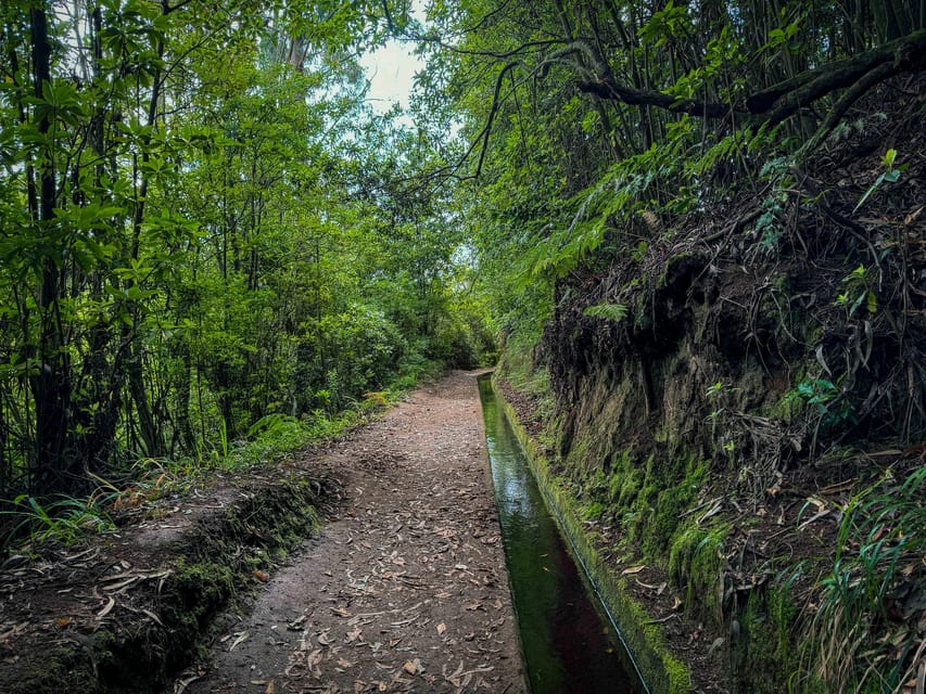 Hiking Madeira: Levada do Rei and the Majestic Laurissilva - Local Café Pause: Small Stop, Big Impact on Your Energy