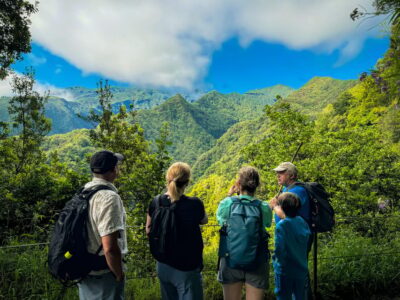 Hiking Madeira: Levada do Rei and the Majestic Laurissilva - Hotel Pickup and São Jorge Drive: Getting Started Without a Headache