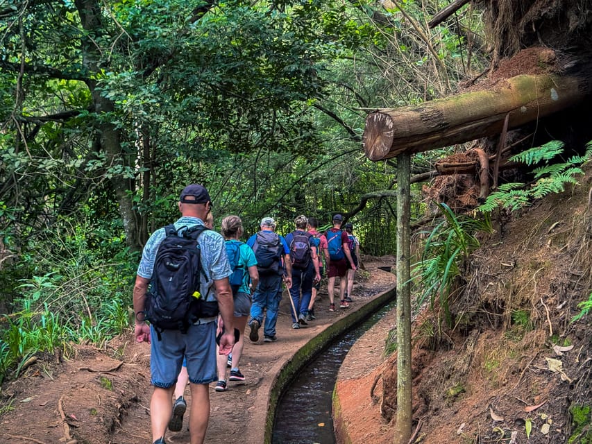 Hiking Madeira: Levada do Rei and the Majestic Laurissilva - Levada do Rei Begins in Quebradas: What the Trail Actually Feels Like