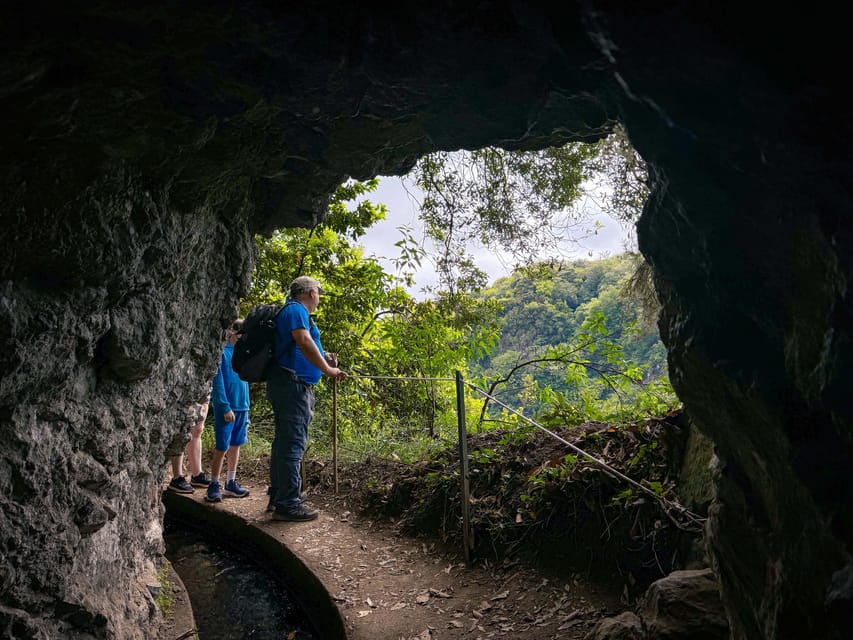 Hiking Madeira: Levada do Rei and the Majestic Laurissilva - Medicinal Herbs and Plant Notes: Why the Guide Talks Matter
