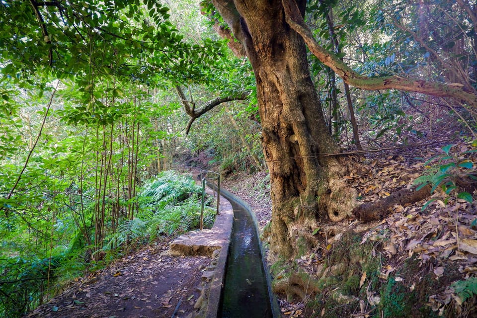 Hiking Madeira: Levada do Rei and the Majestic Laurissilva - Waterfall Moment and Ribeiro Bonito: The Calmer Part of the Day