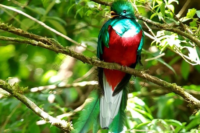 Hiking to Curi-Cancha Reserve - Who should book this hike (and who might want a different plan)