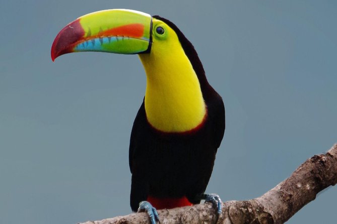 Hiking to Curi-Cancha Reserve - Where to meet at Reserva Curi Cancha (and what to plan for)