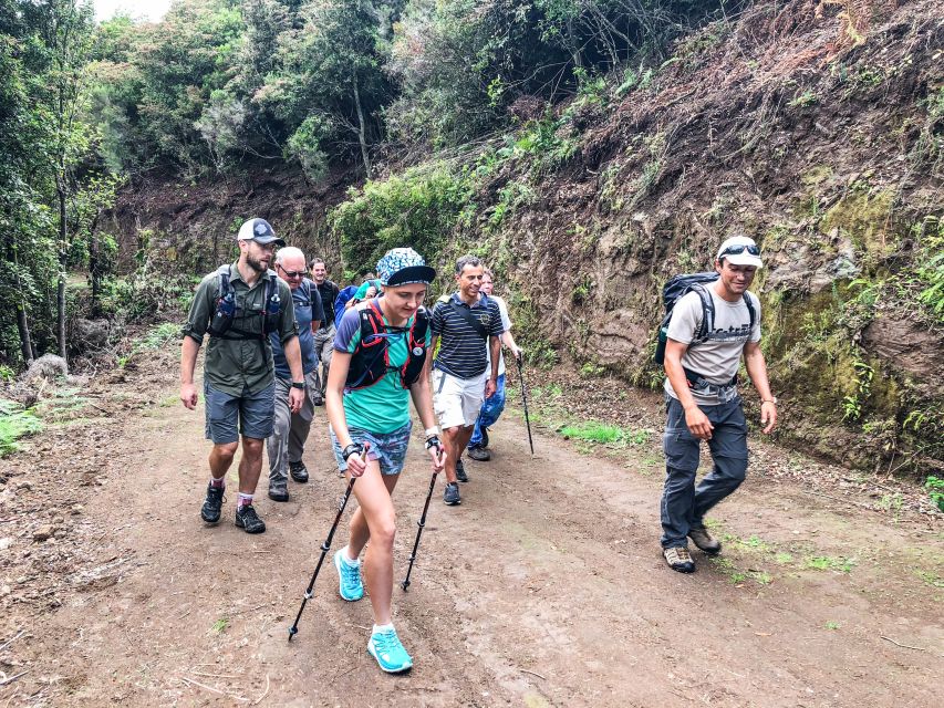 Hiking Trip with a Local - Pickup, drive commentary, and the crowd-avoidance plan