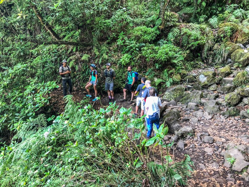 Hiking Trip with a Local - The local-guide touch: Dino’s balance and small-group calm