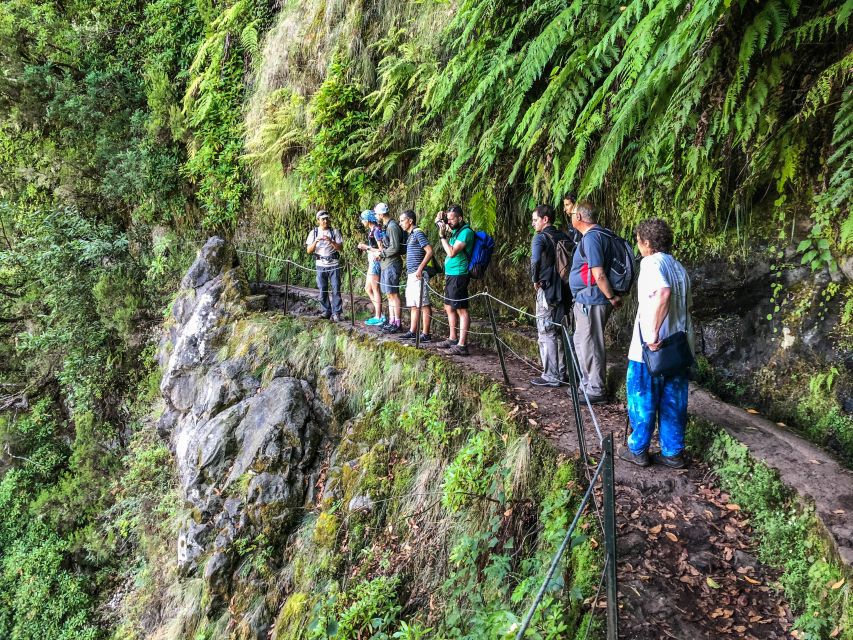 Hiking Trip with a Local - Why UNESCO Laurissilva forests are the star of the show