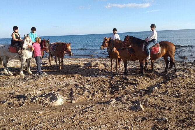 Horse Riding: Explore Secret Thera - Horses, helmets, and the safety reality check